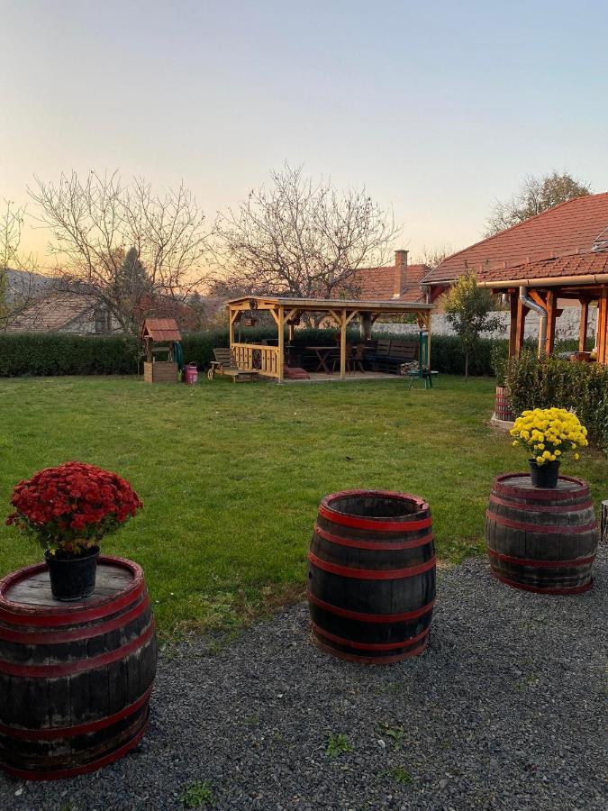 Zimmer Feri Vendeghaz Hotel Abaújszántó Exterior foto