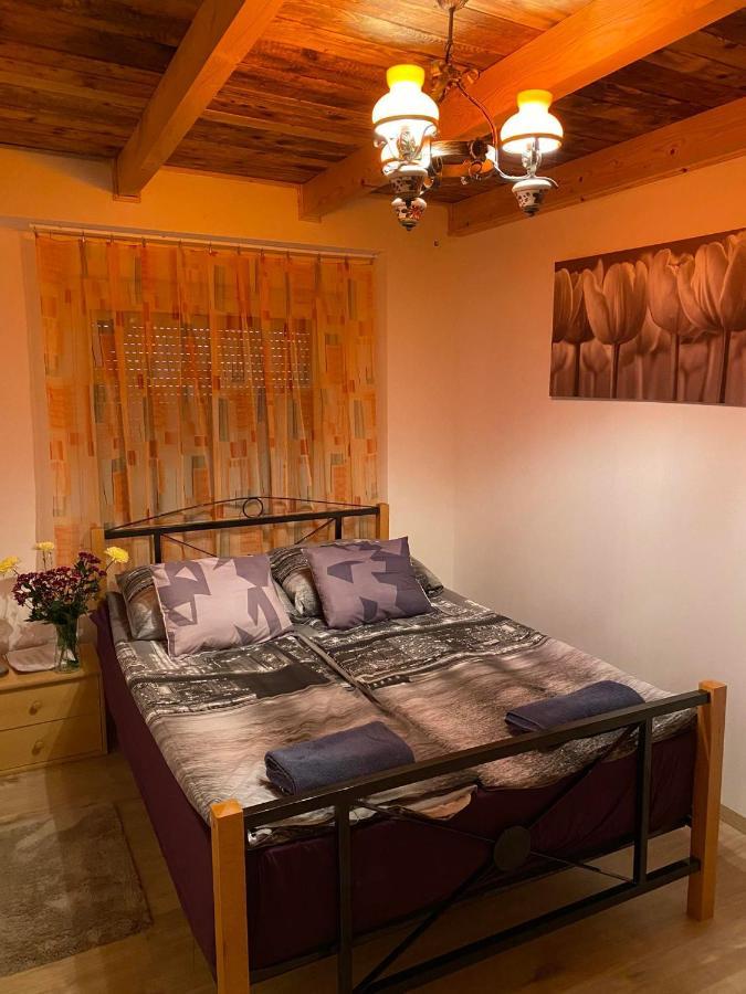 Zimmer Feri Vendeghaz Hotel Abaújszántó Exterior foto