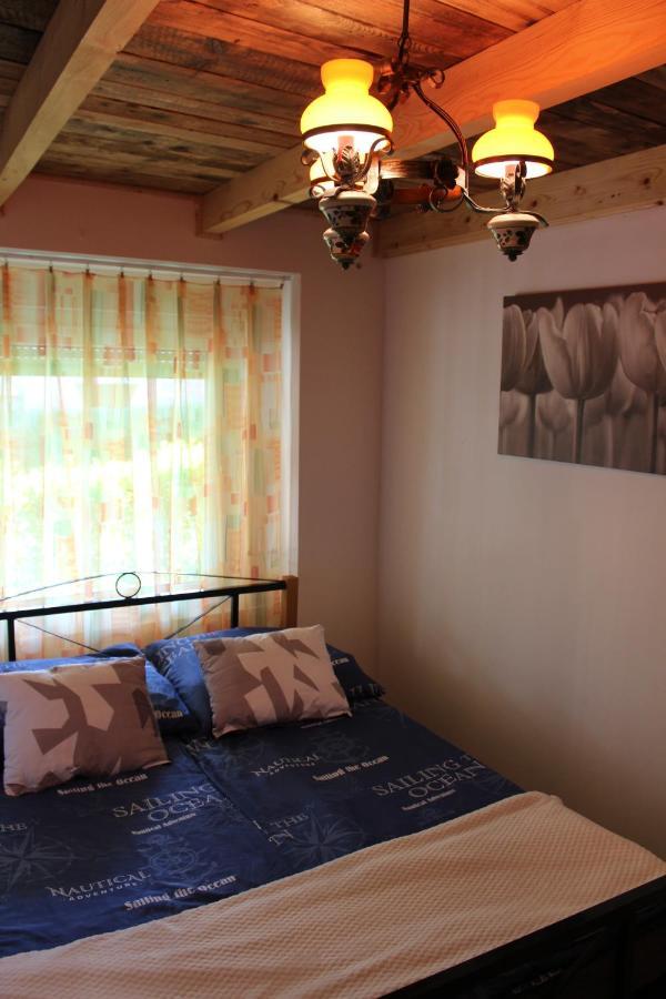 Zimmer Feri Vendeghaz Hotel Abaújszántó Exterior foto